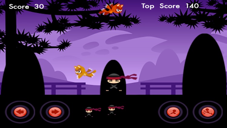 The Ninja vs Cats Adventure